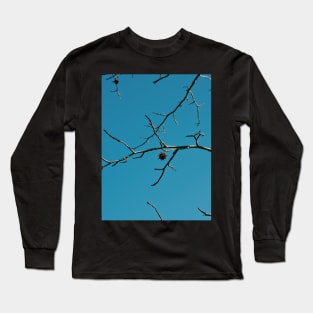 Sweet Gum Seed Pod Long Sleeve T-Shirt